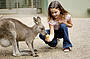 Kangaroos at Featherdale Wildlife Park